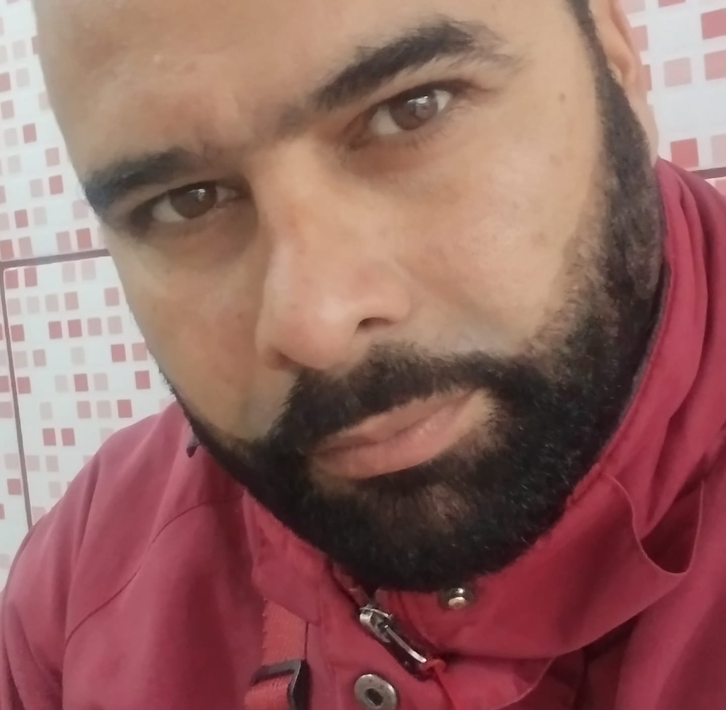 Perfil